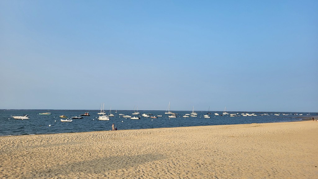 Arcachon Bat