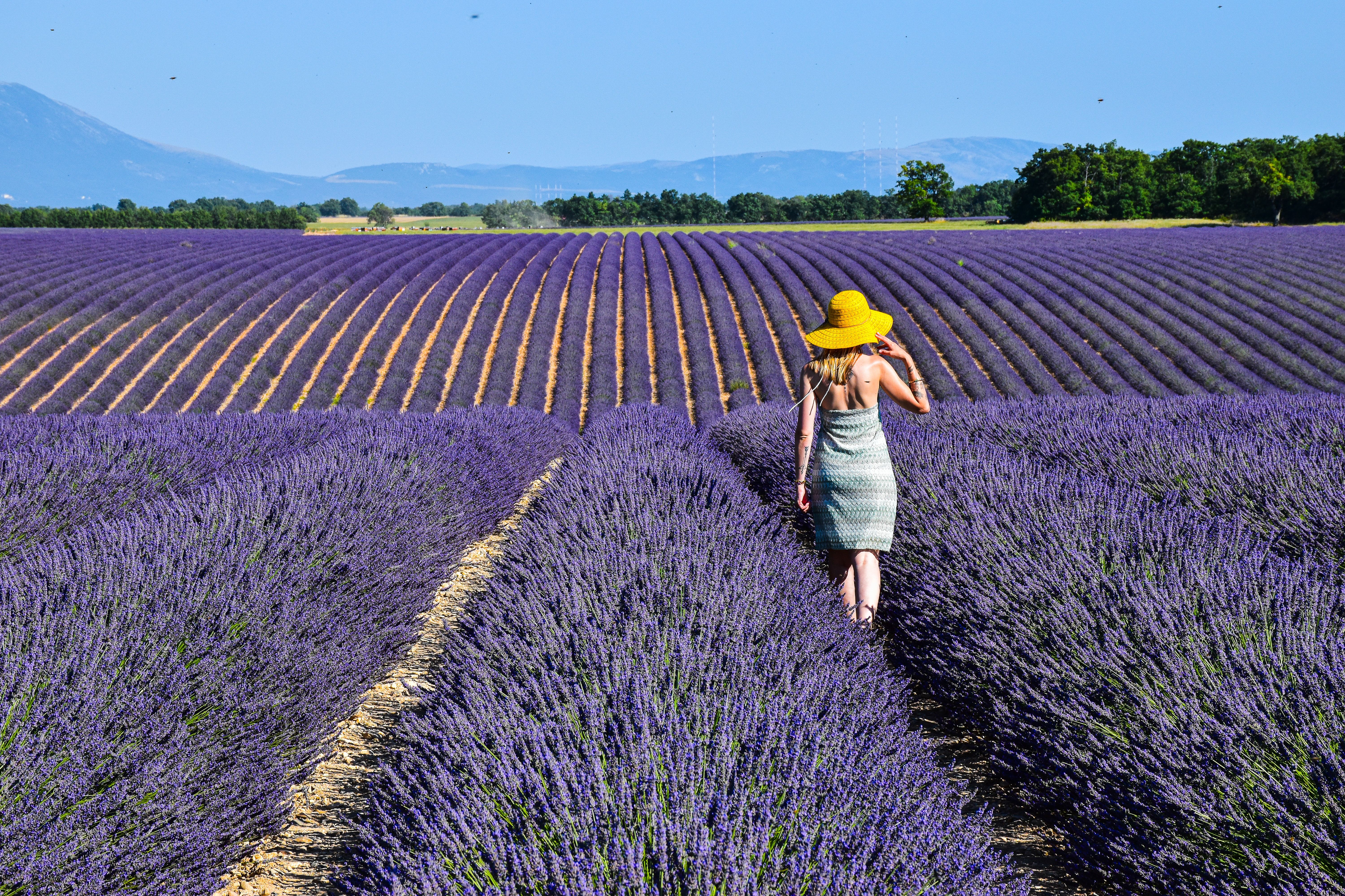 Provence